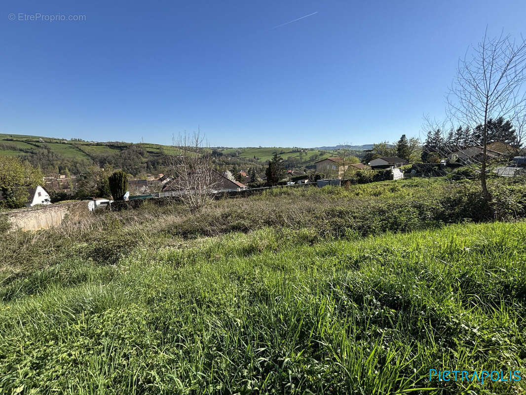 Terrain à AMPLEPUIS