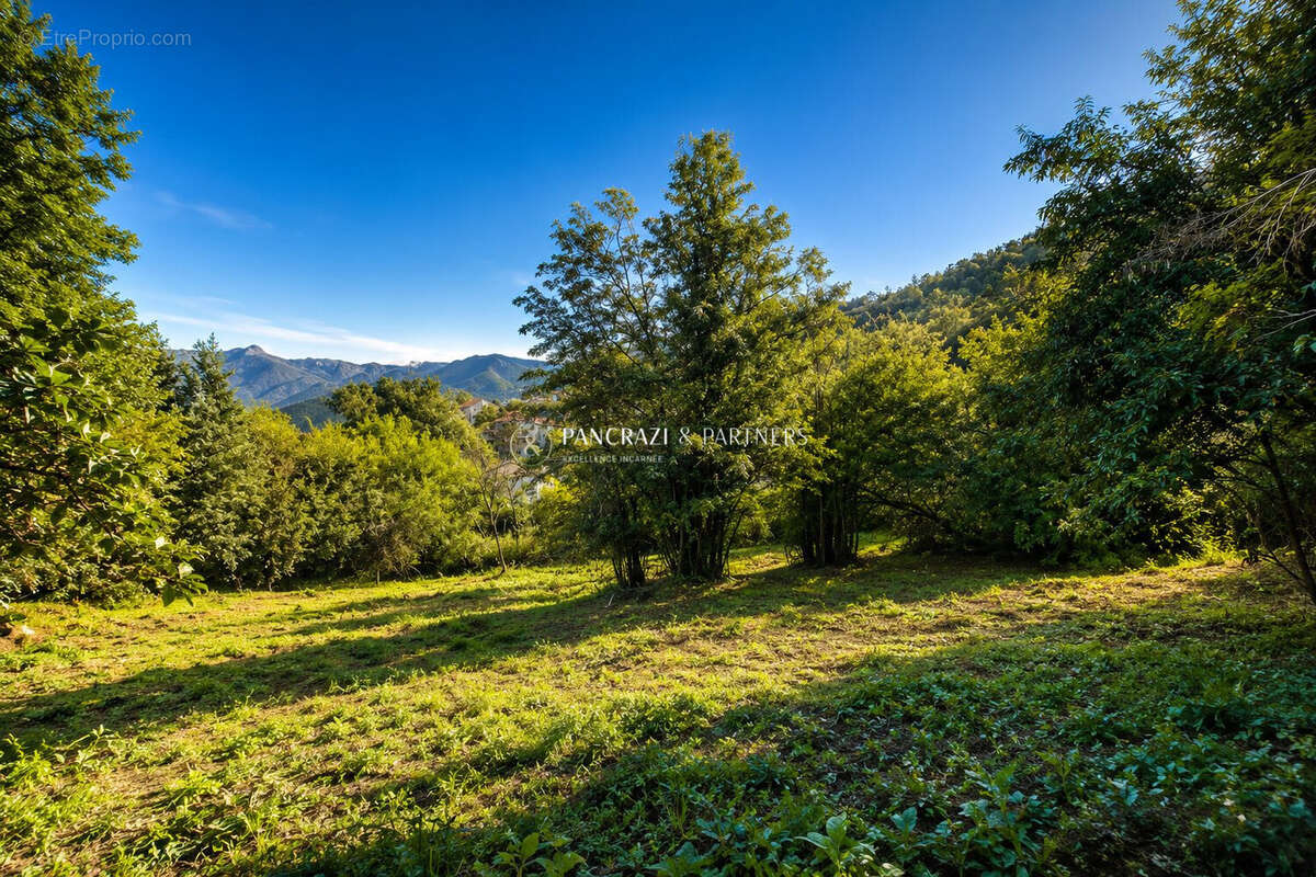 Terrain 3685 m² à Ucciani  - photo 2