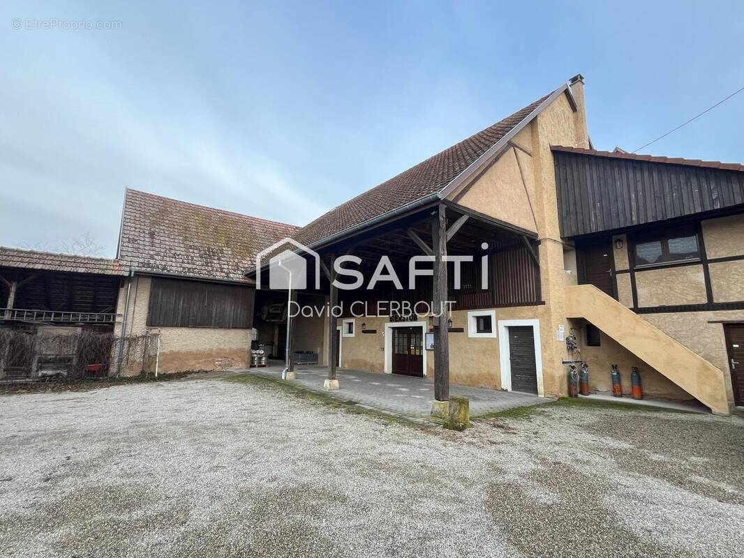 Photo 1 - Appartement à MUTTERSHOLTZ