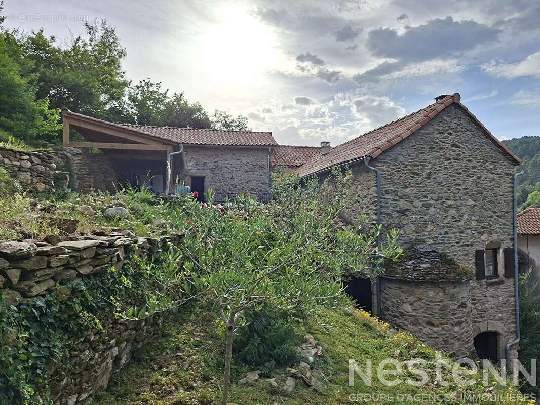 Maison en pierre rénovée de 124 m2 avec 7 678 m² de terrain - Havre de paix en Cévennes - photo 4