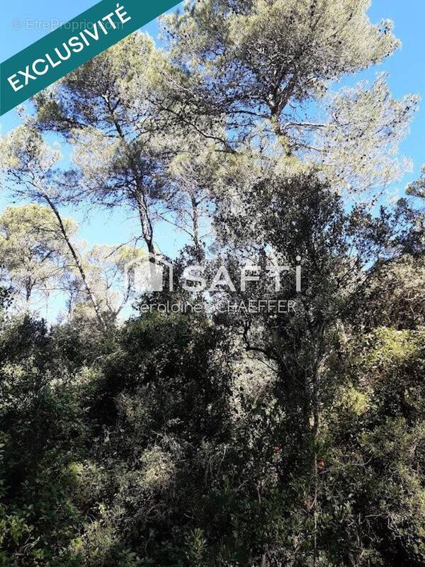 Photo 1 - Terrain à VACQUIERES