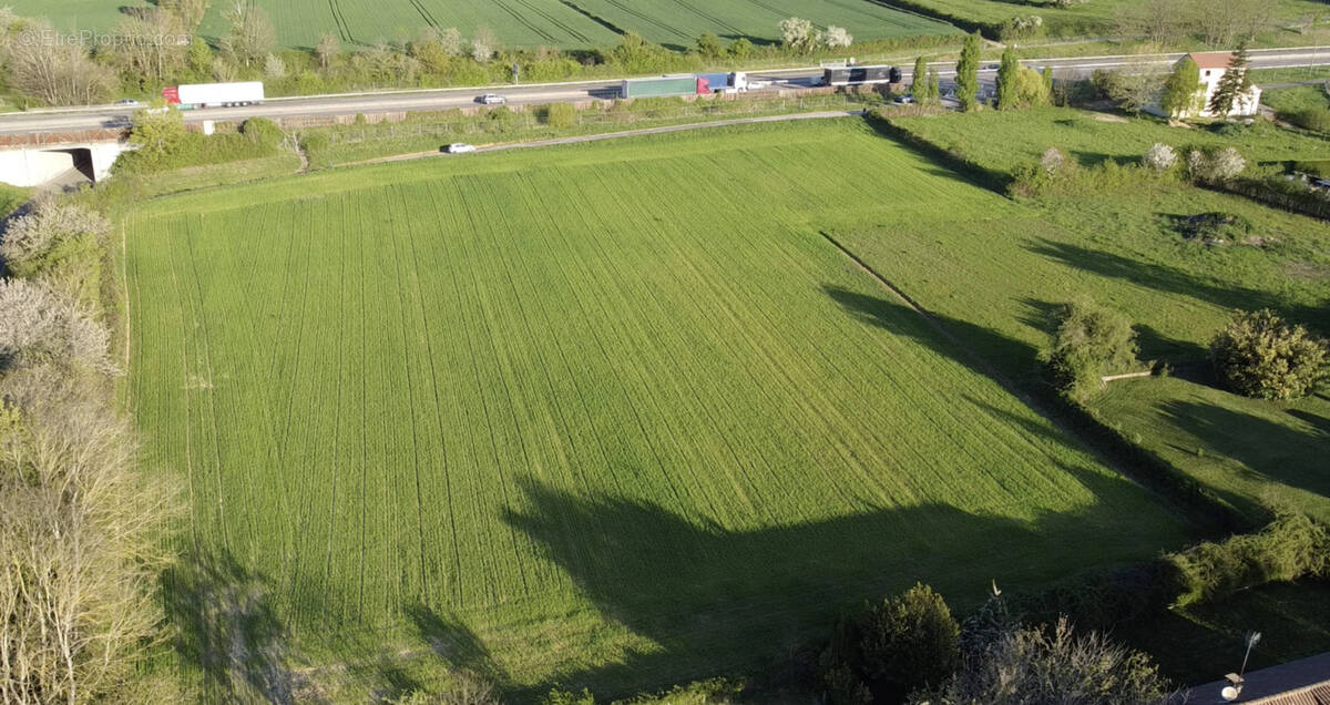 Autre à TOURNUS