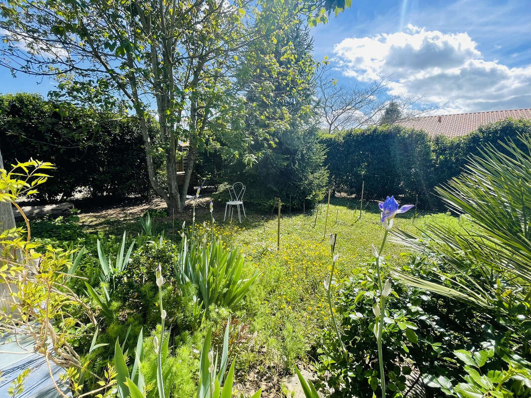 Maison à MIGNE-AUXANCES