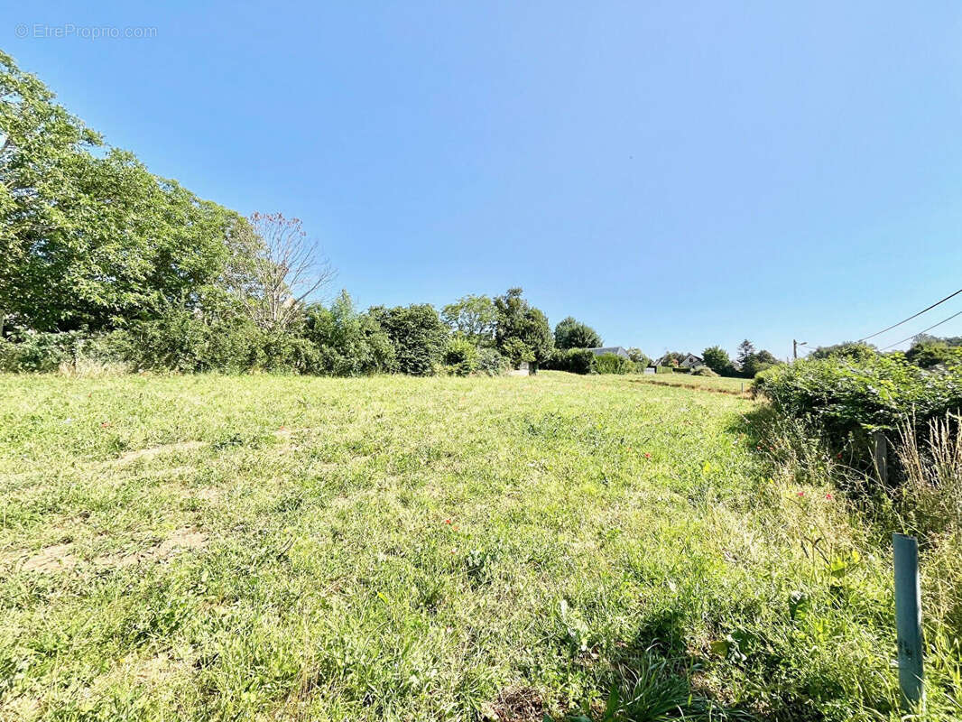 Terrain à vendre hors lotissement Laize Clinchamps 805 m2 - photo 2