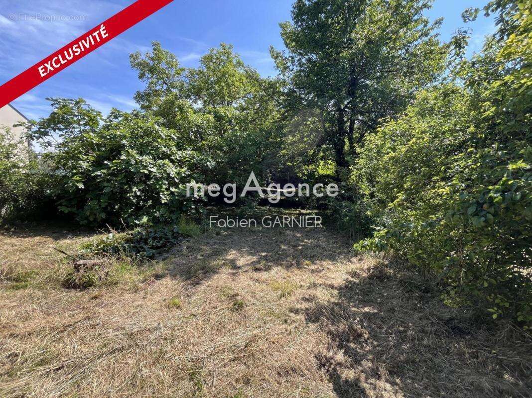 Terrain à MARTIGNE-BRIAND