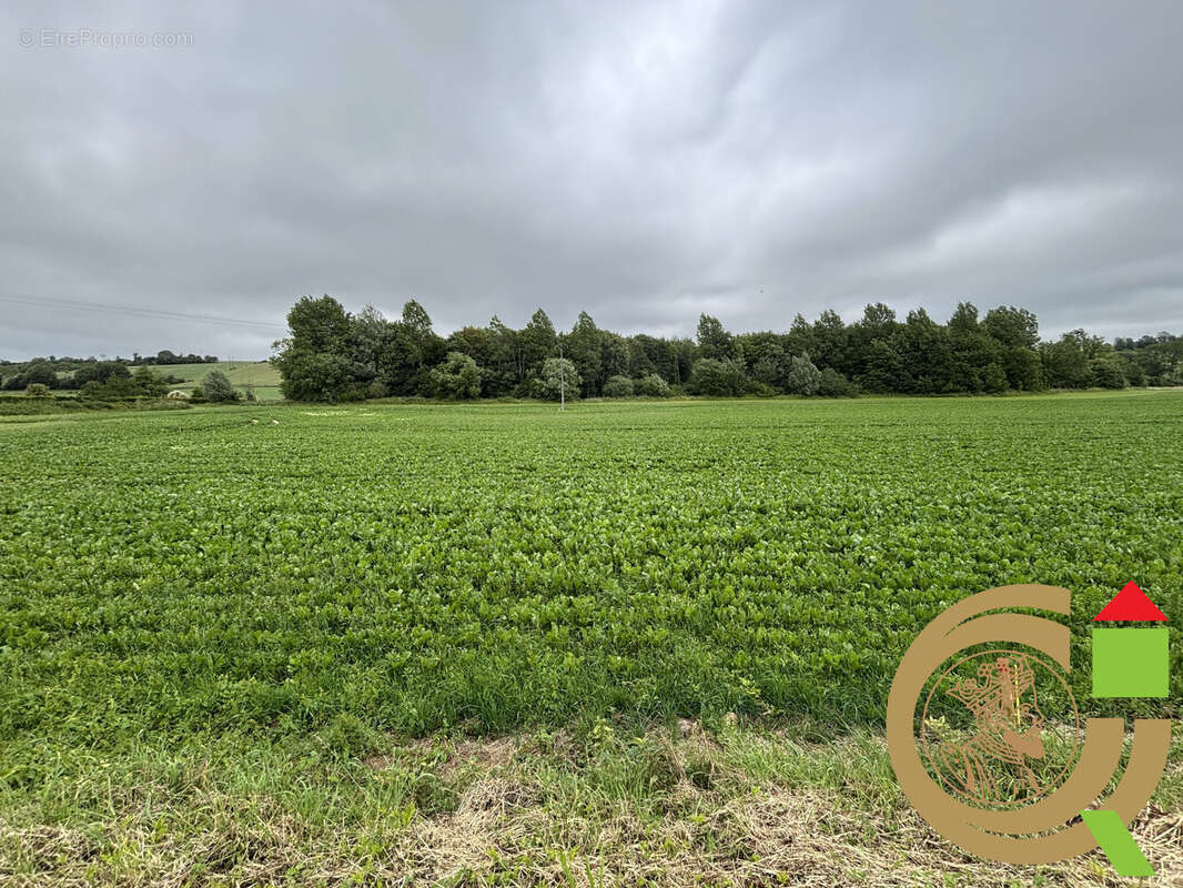 Terrain à LONGVILLIERS