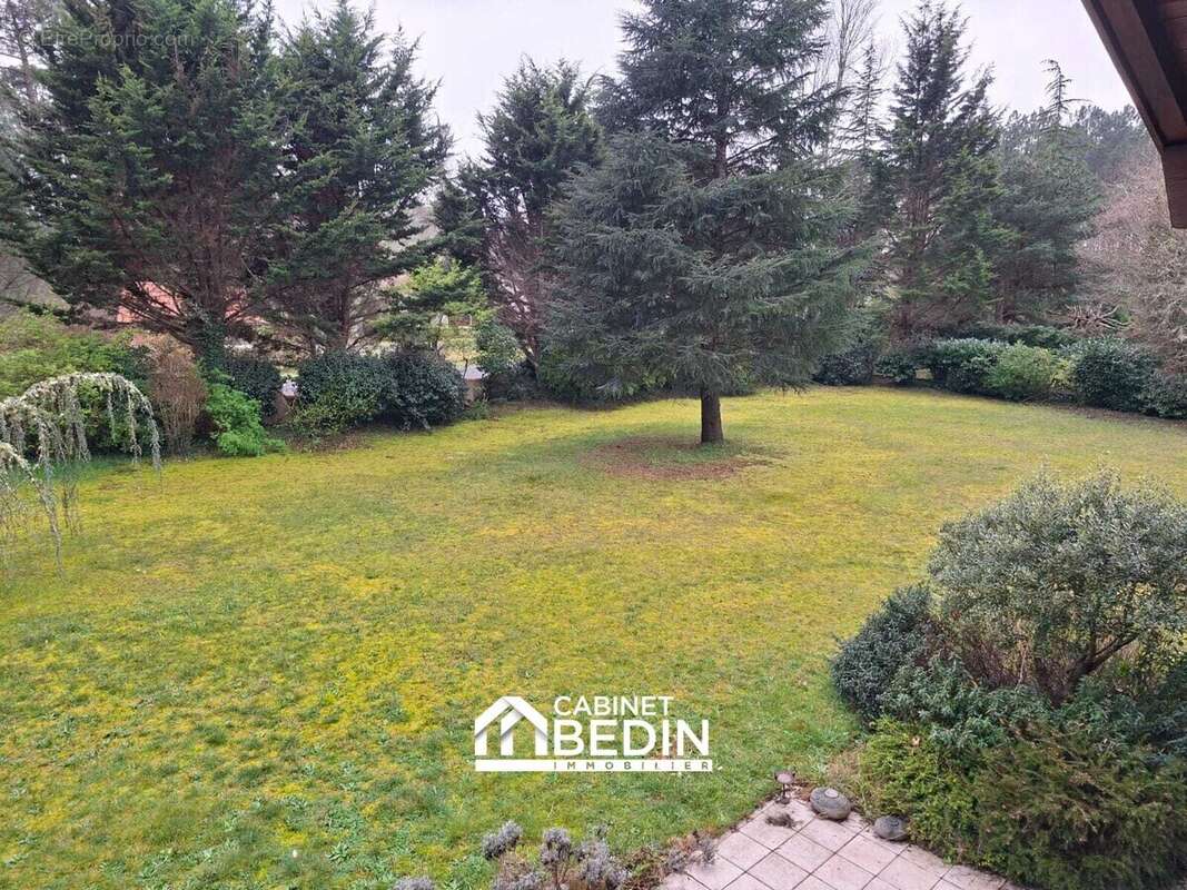 Maison 190 m² à Sanguinet  - photo 3