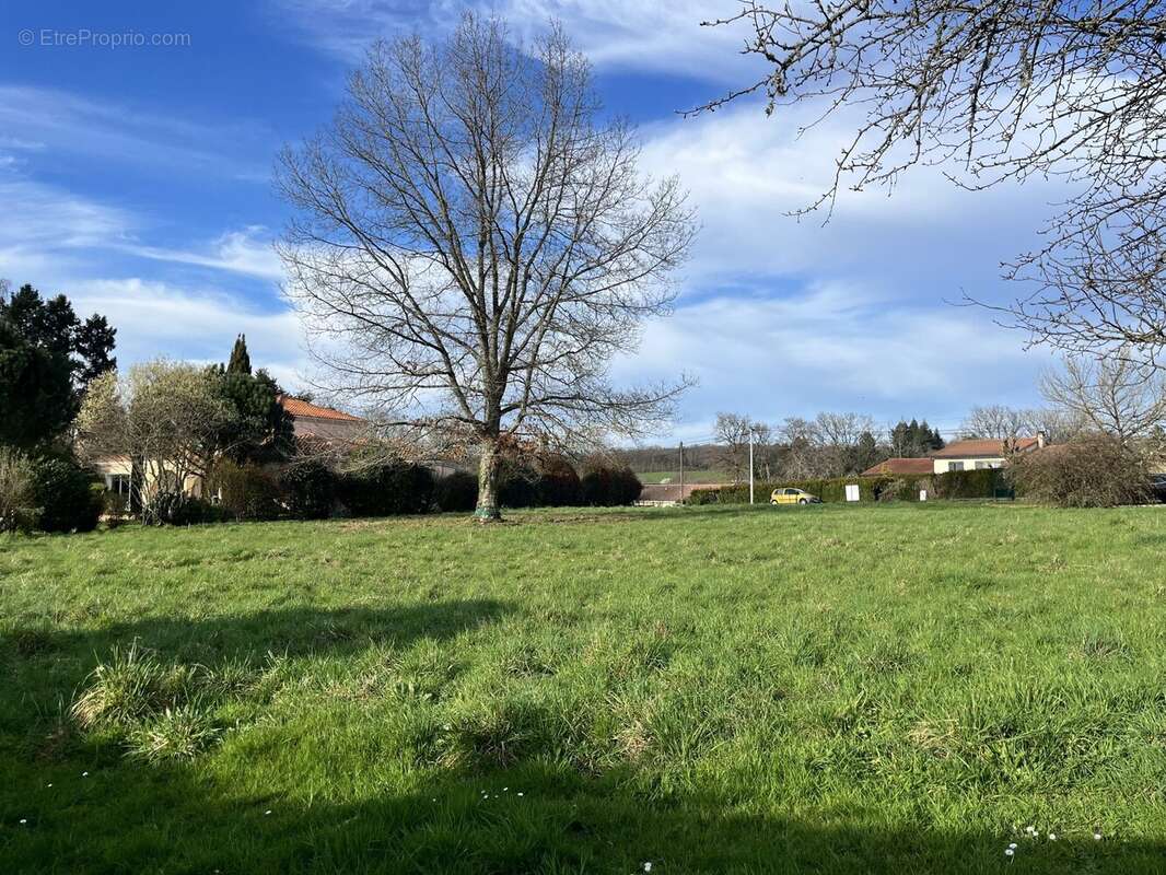 Terrain à VERNEUIL-SUR-VIENNE