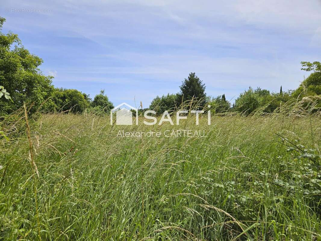 Photo 3 - Terrain à CAMBLANES-ET-MEYNAC
