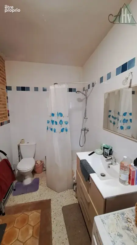 PROCHE THORIGNY SUR OREUSE - Longère de 115 m2 avec 3 chambres, grange et jardin. - photo 10