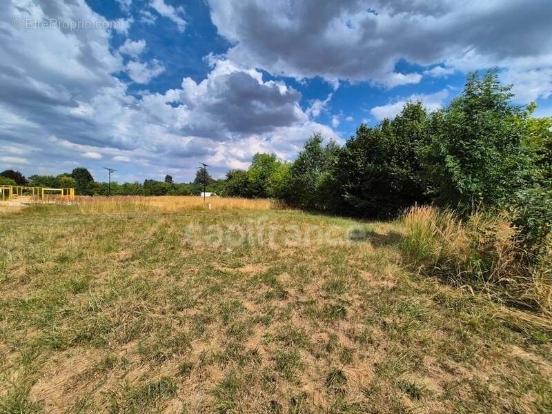 Terrain à bâtir viabilisé 553,00 m² - Libre Constructeur - photo 6