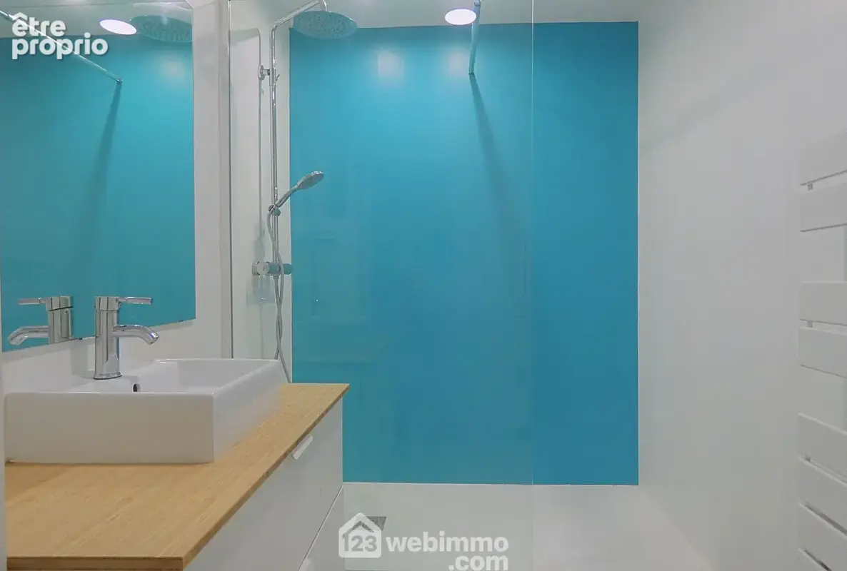 Sur ce niveau également une agréable salle de douche récente