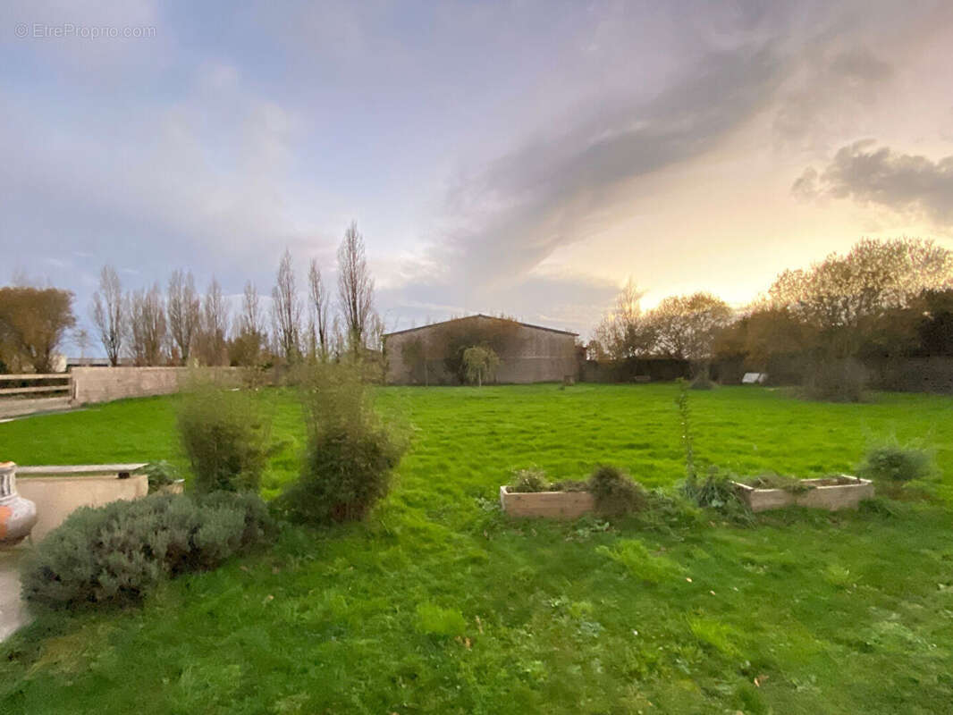 Appartement à AMBON