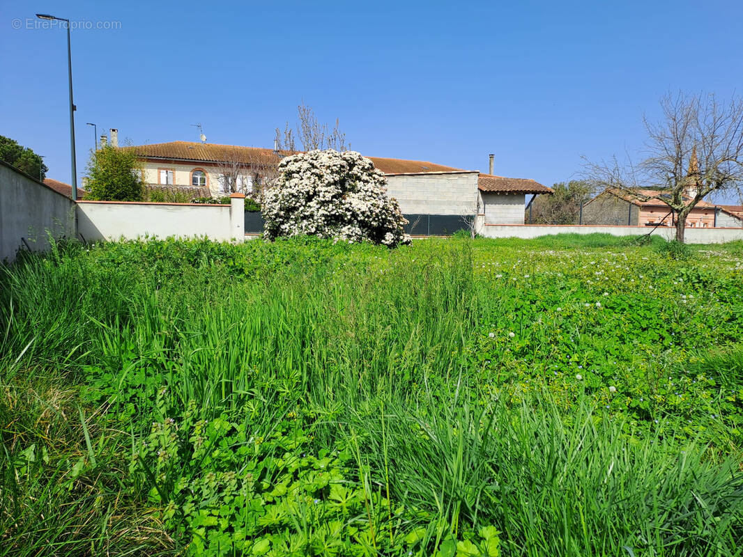 Terrain à SAINT-CLAR-DE-RIVIERE