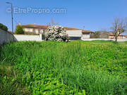 Terrain à SAINT-CLAR-DE-RIVIERE