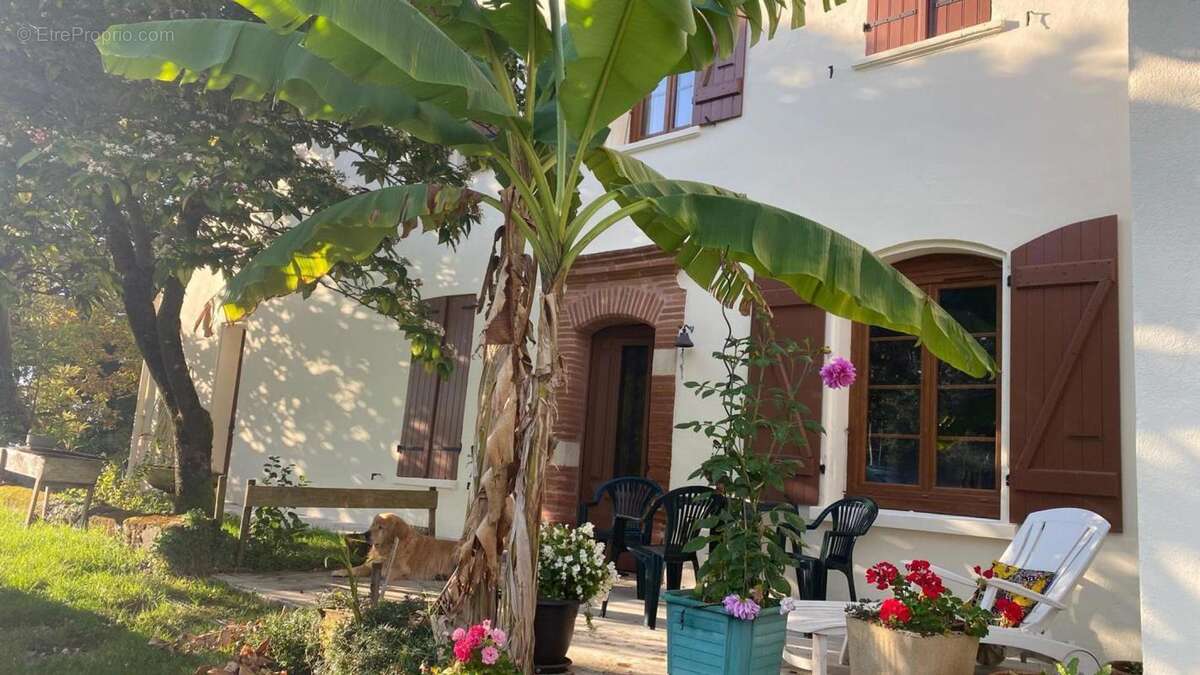 Maison à LAVALETTE