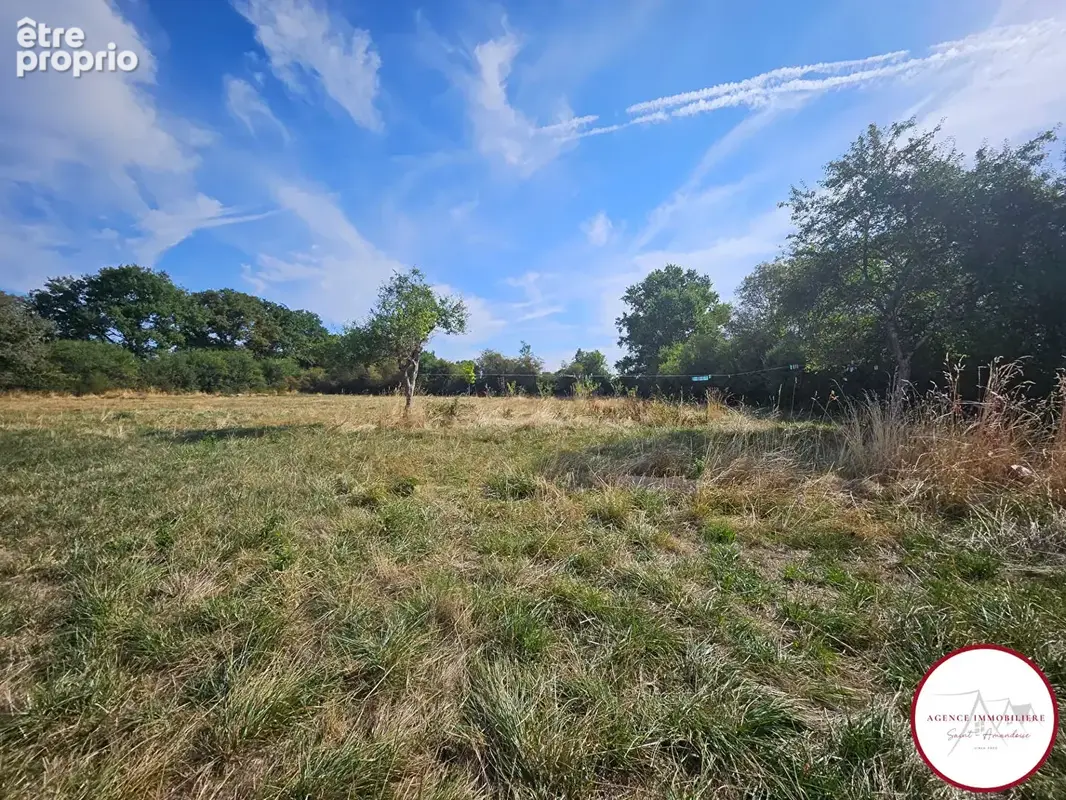 Maison de caractère à rénover , Lurcy-Lévis, 65 m² sur 6000 m² de terrain arboré - photo 10