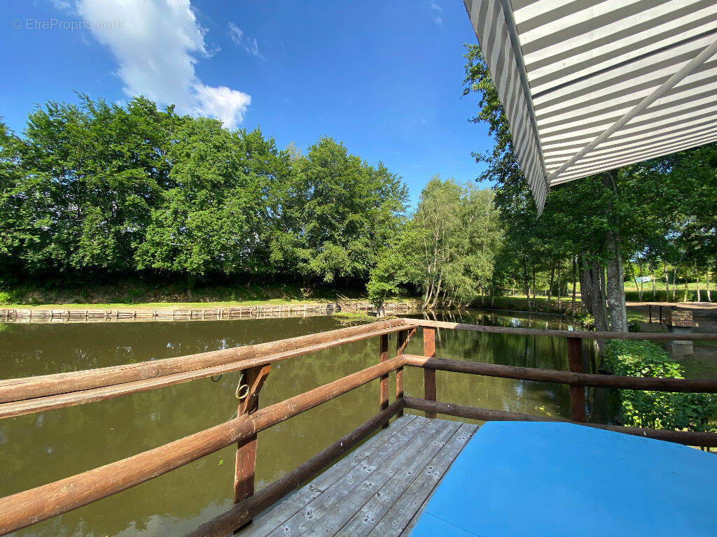 Terrain à LA FERTE-MACE