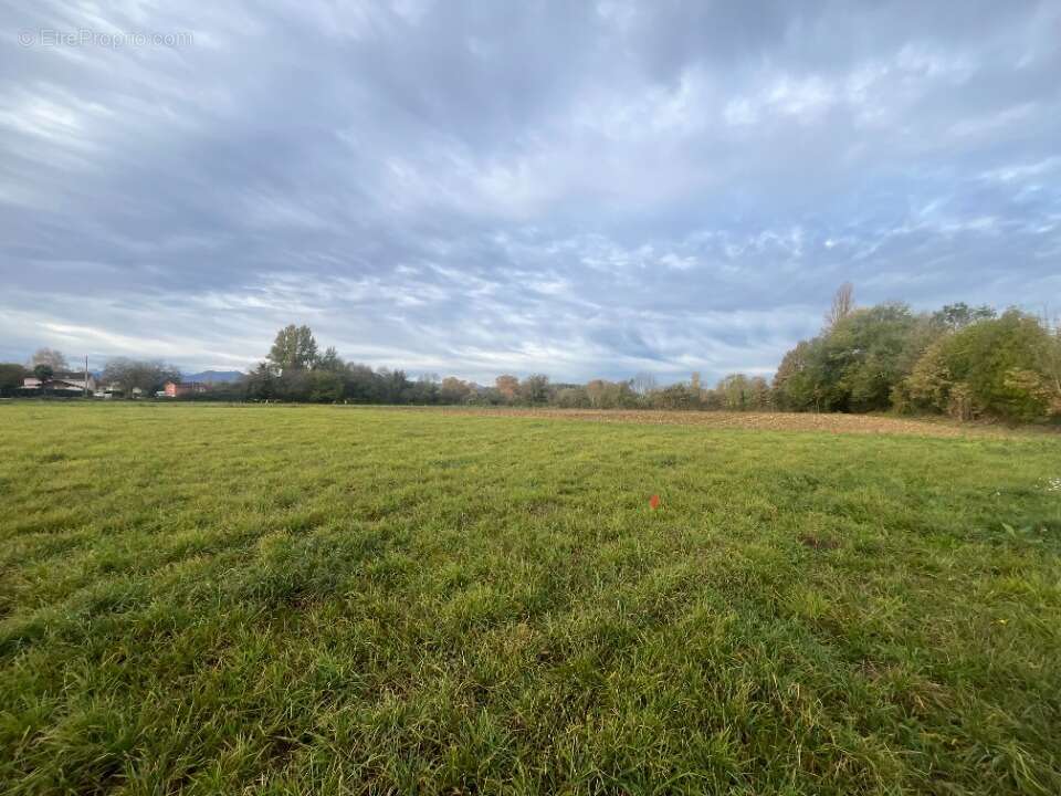 Terrain 1042 m² à Juillan  - photo 2