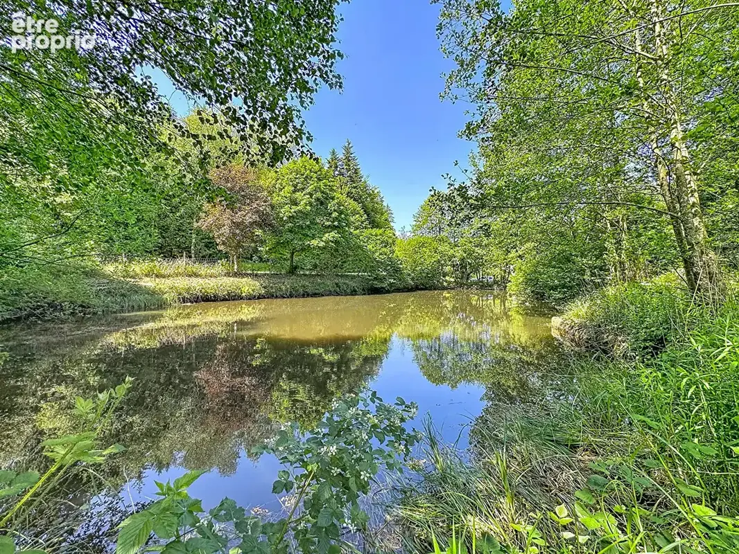 Espace de loisirs à Allarmont - photo 2
