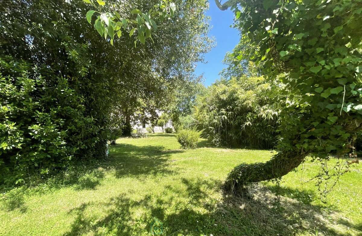 Domaine du xviiième siecle sur + de 8,5 ha avec etang et dependances - photo 6