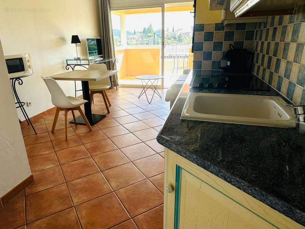 Appartement à vendre 1 pièces GREOUX LES BAINS (04) - photo 8