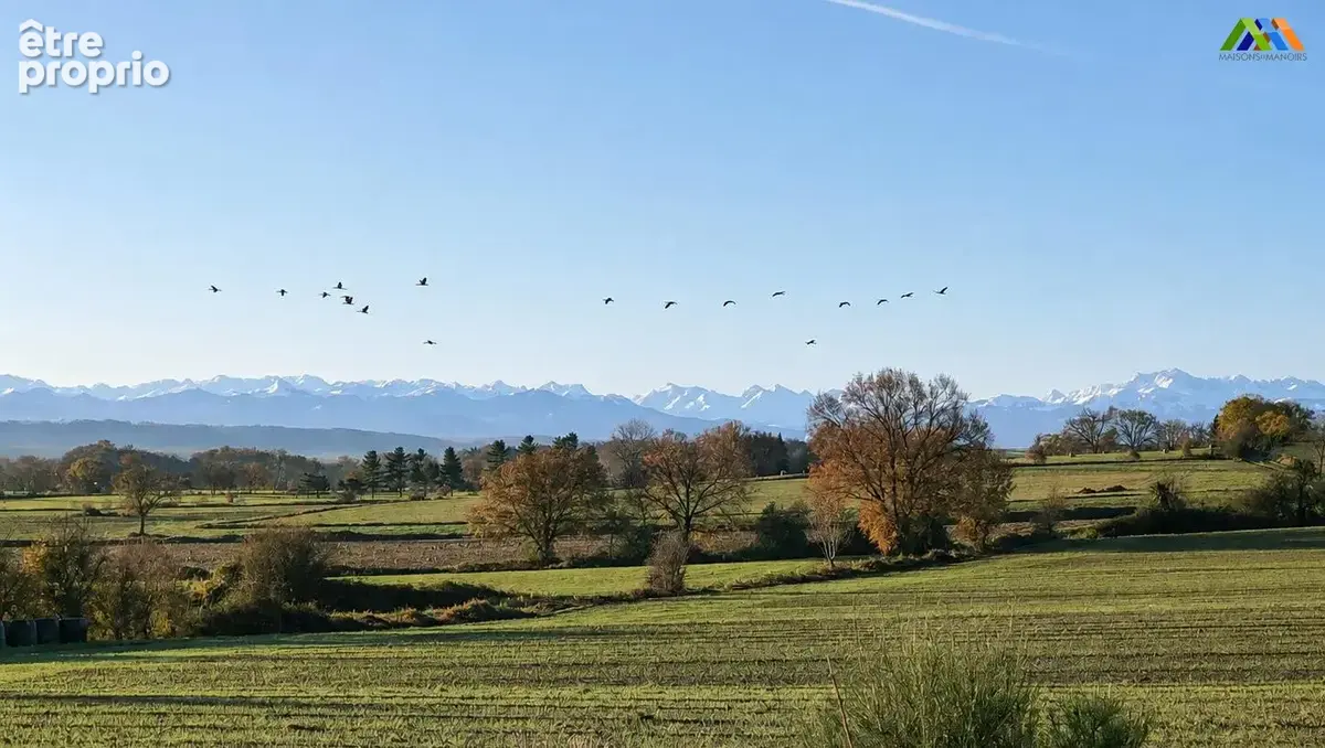 Vue panoramique sur la campagne et la chaîne des Pyrénées.