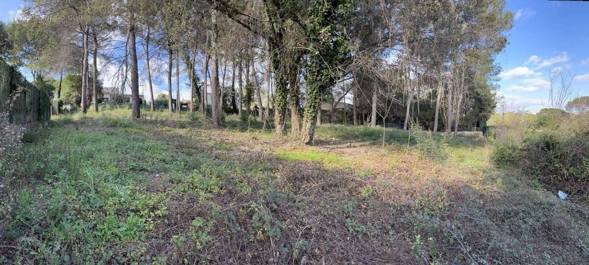 Terrain à MOUGINS