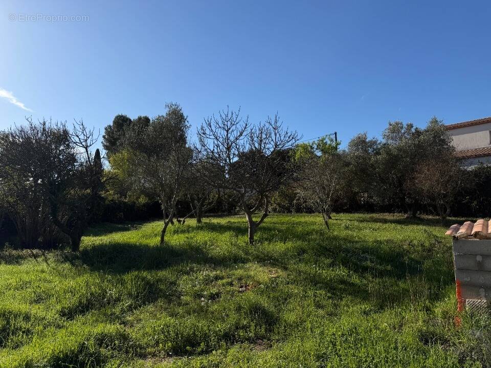 Terrain à SUSSARGUES