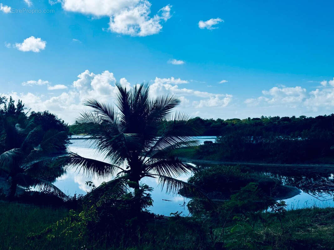 Terrain à SAINT-MARTIN