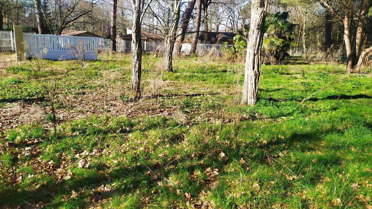 Terrain a batir noaillan 850m² - photo 2