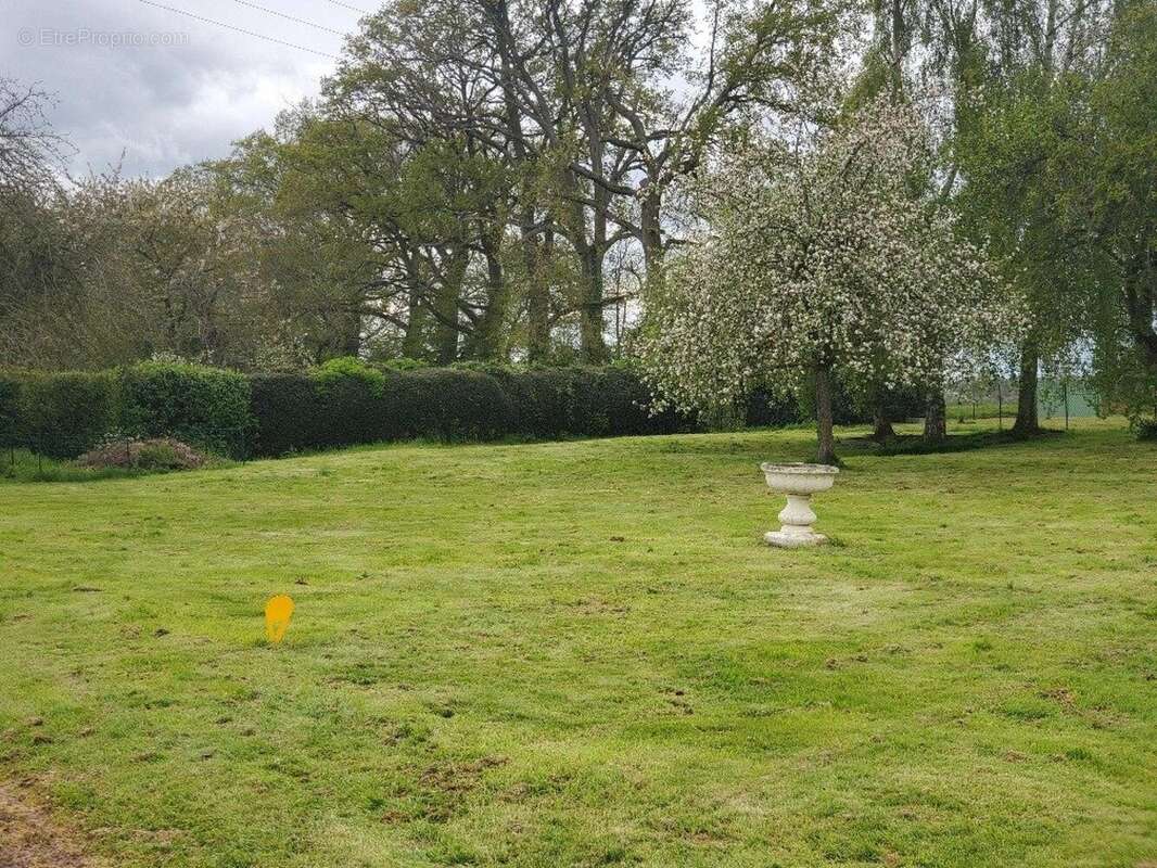 Photo 2 - Terrain à HAUVILLE