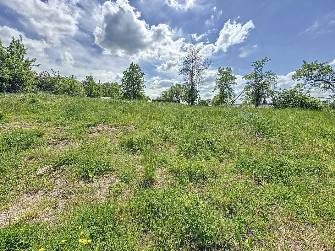 Terrain à ROZEROTTE