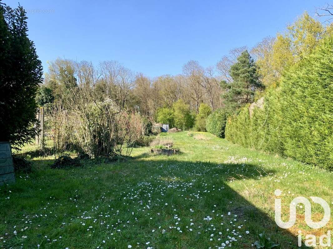 Photo 3 - Maison à SAINT-PRYVE-SAINT-MESMIN