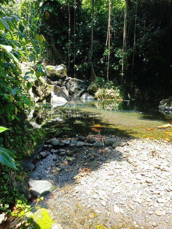 Terrain à BASSE-TERRE