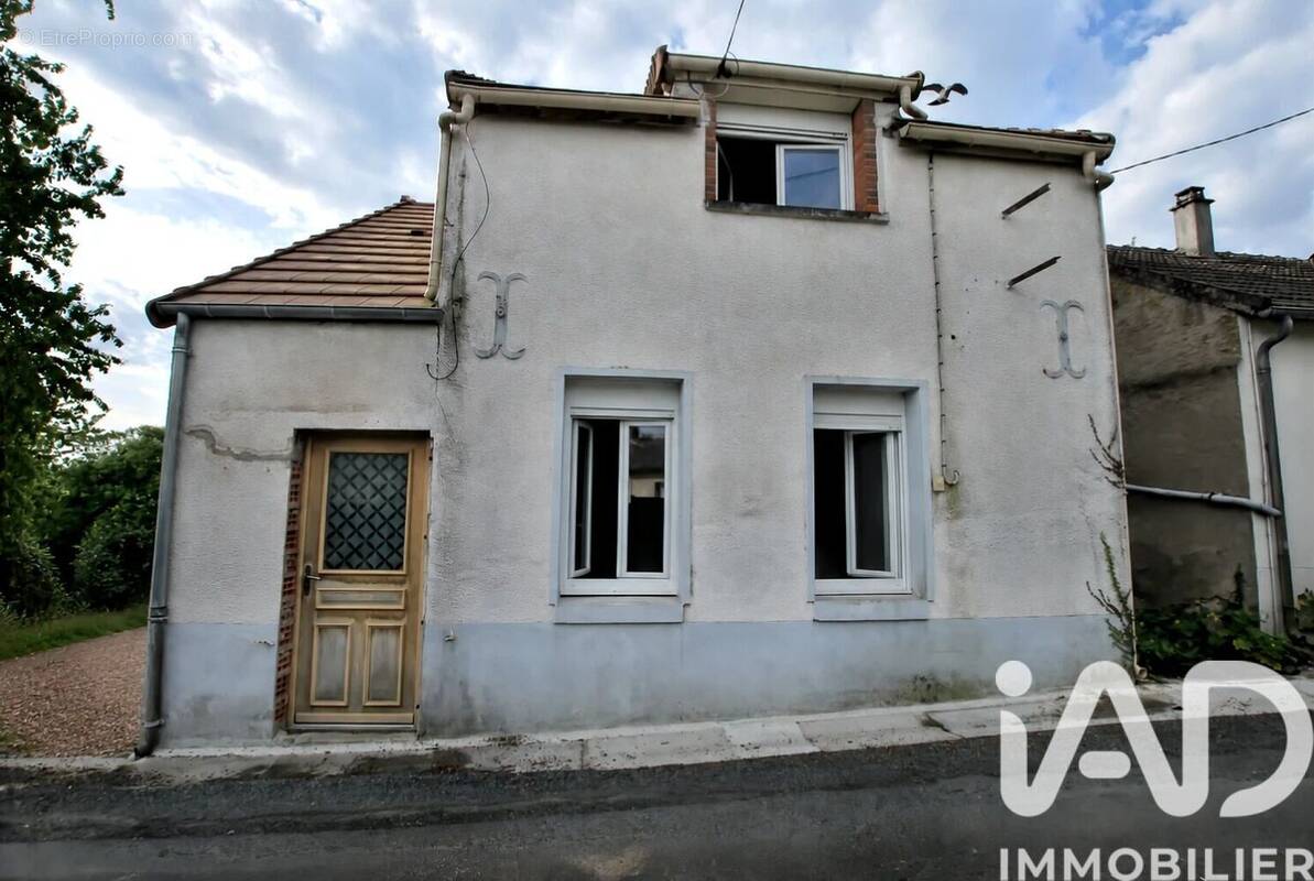 Photo 1 - Maison à OUZOUER-SUR-TREZEE