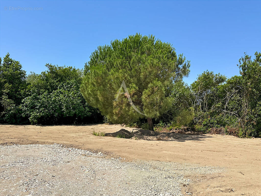 Terrain à SAINT-JEAN-DE-MONTS