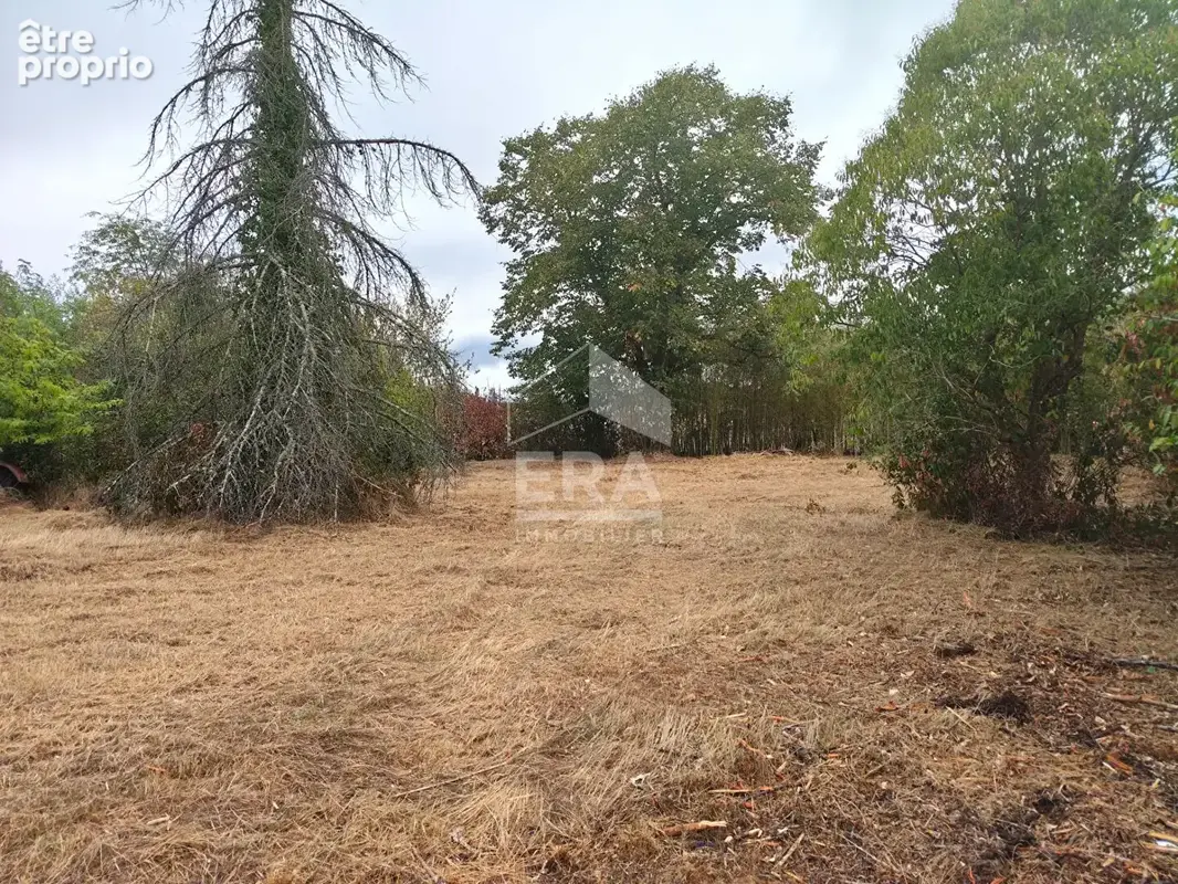 Maison à vendre à Saint Christoly de Blaye - 6 pièces, 236 m² sur 2700 m² de terrain - photo 4