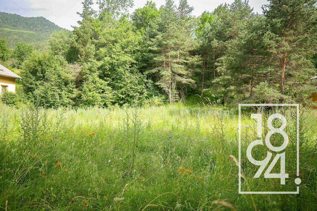 Terrain À Vendre Uvernet-Fours 04 (04400)  1570 m²  - photo 6