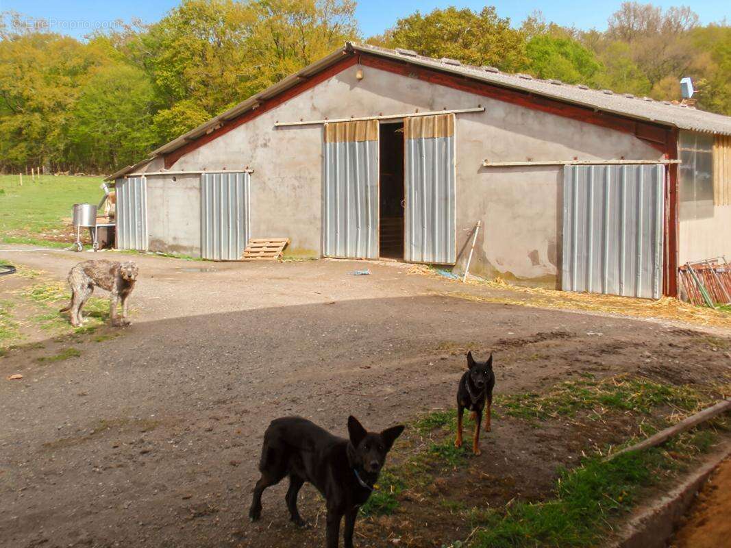 Maison à FAVERDINES