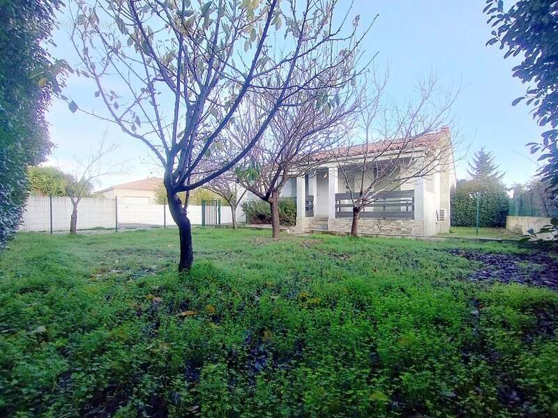 Maison à PENTA-DI-CASINCA