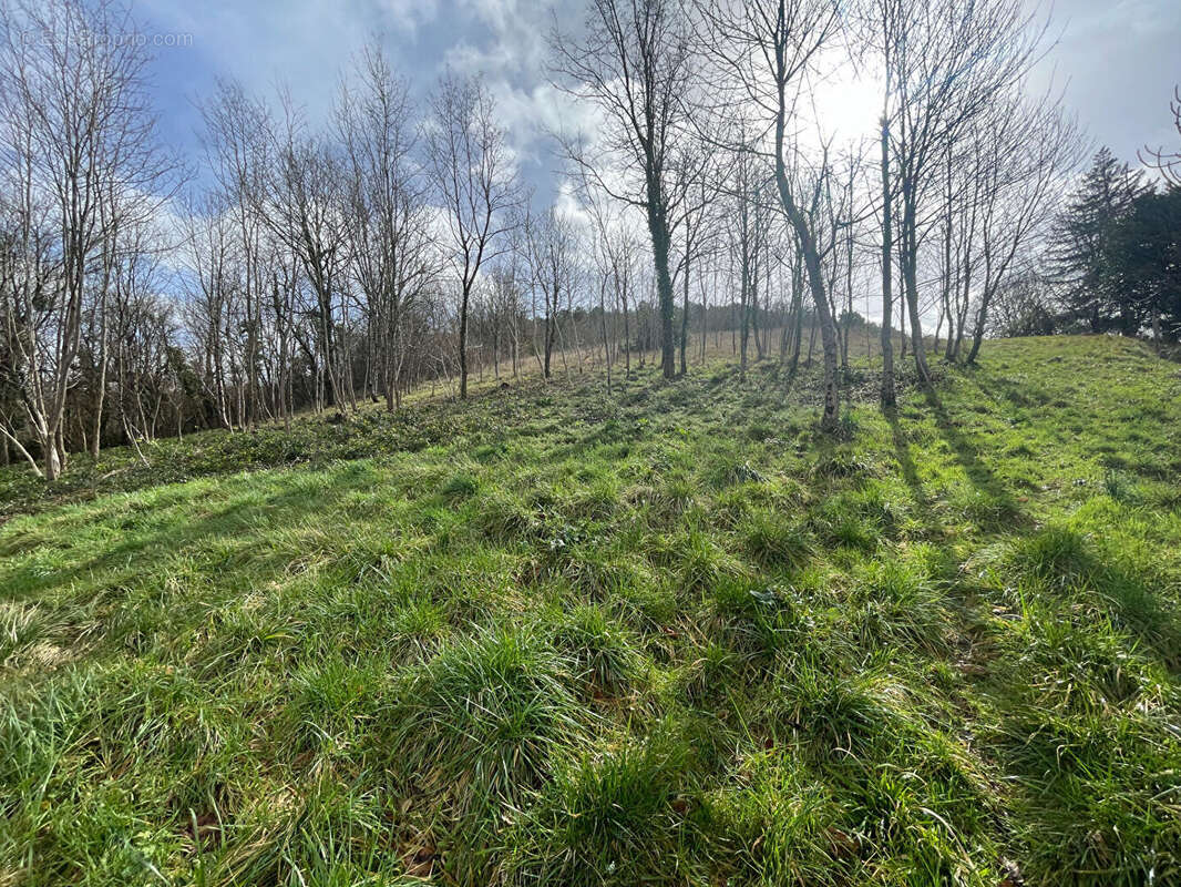 Maison PENNE D'AGENAIS 121m² + garages (terrain 11 630m²) - photo 17