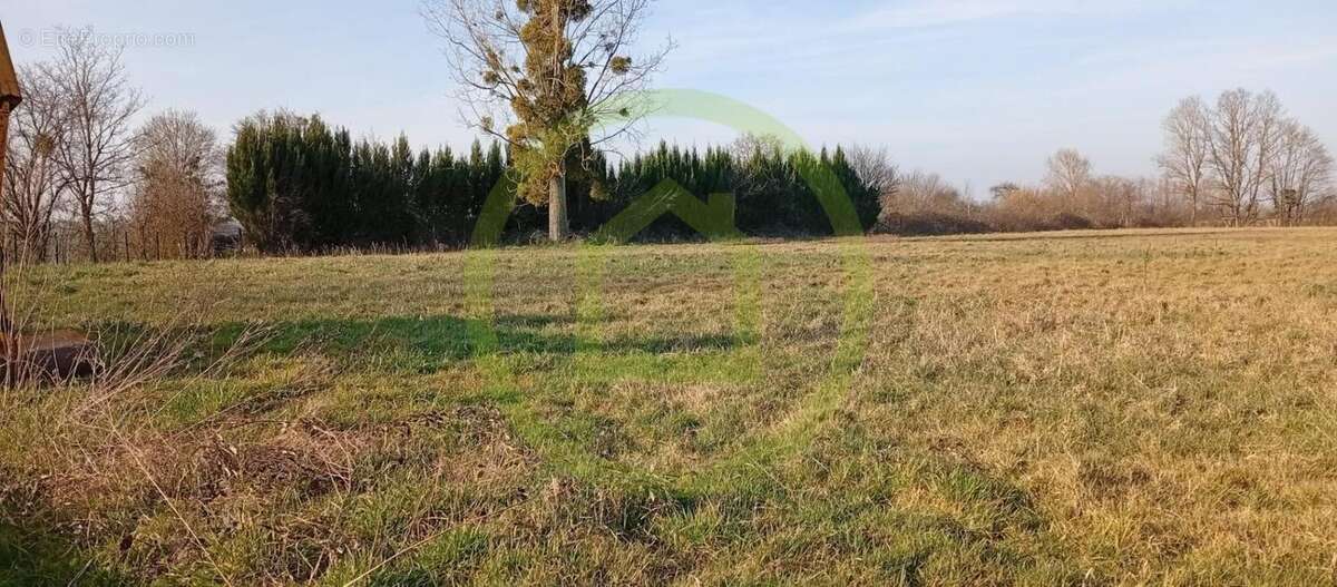 Maison à SAINT-BONNET-EN-BRESSE