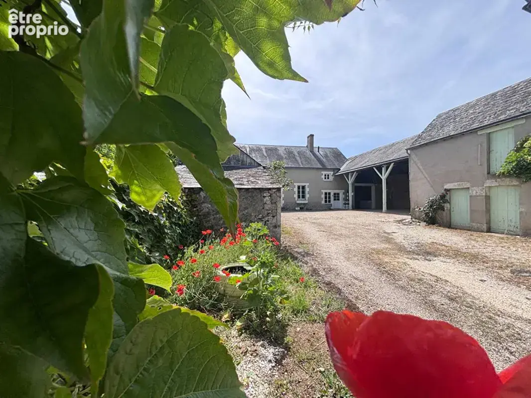 Ensemble immobilier Vineuil Maison + Granges - photo 2