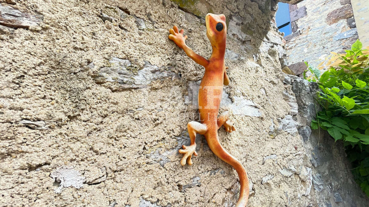 Maison à FRESNAY-SUR-SARTHE
