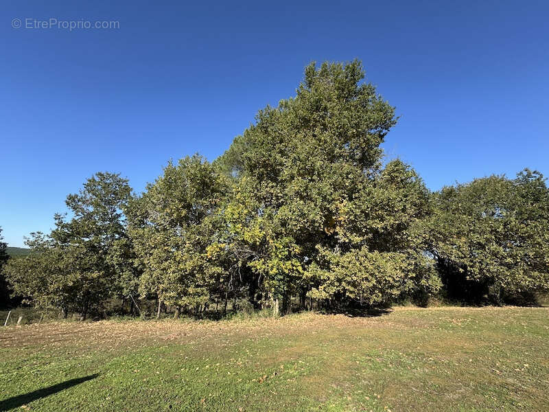 Maison à BOSCAMNANT