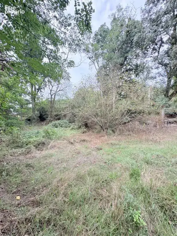 Terrain de loisirs - photo 2
