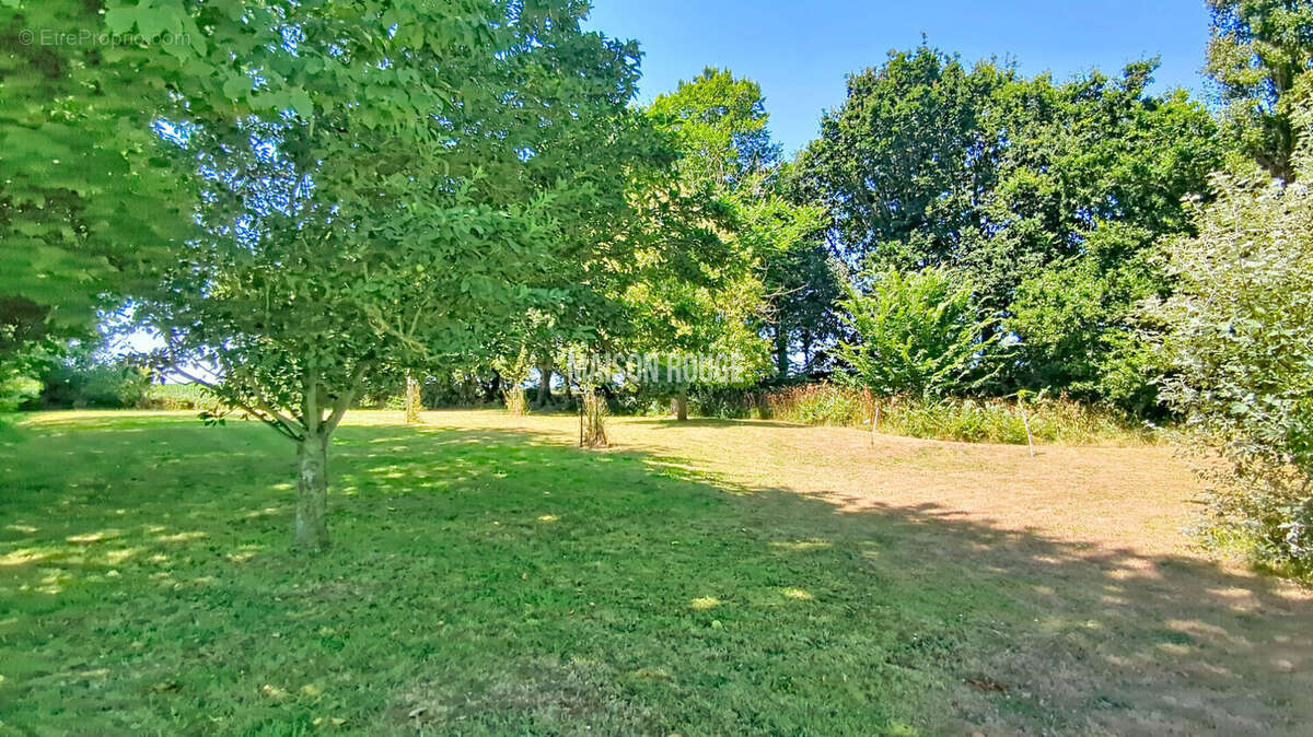 Propriété en pierres avec 4 hectares de terrain, dépendances , vie de plain pied, au calme - photo 22