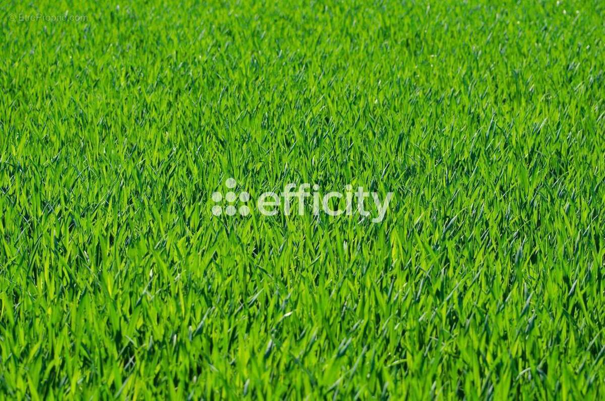 Terrain 371 m² à Saint-Jean-De-Tholome  - photo 2