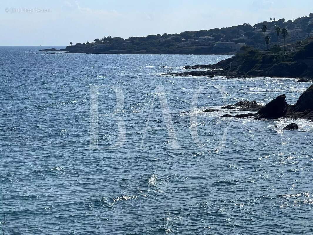 Villa pieds dans l'eau - photo 3